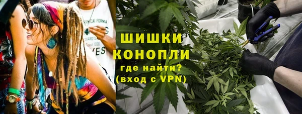 трава Арсеньев