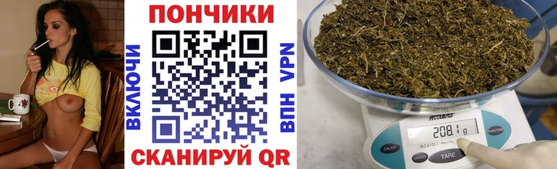 кракен рабочий сайт  Суворов  МАРИХУАНА сатива 